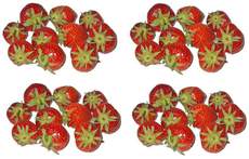Erdbeeren-4x10.jpg